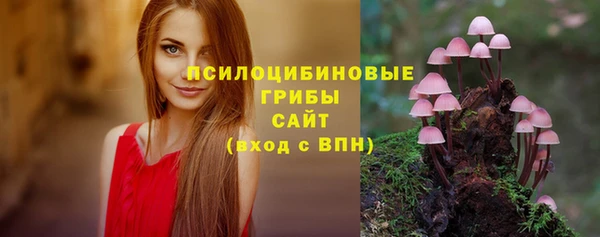 прущие крисы Нязепетровск