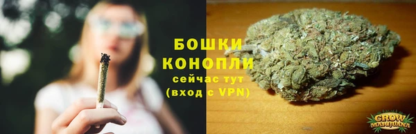 PSILOCYBIN Белокуриха