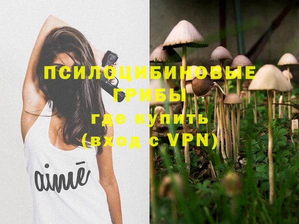 ешки Няндома
